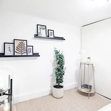 - Modern - Superb Style *