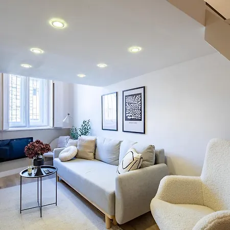 - Modern - Superb Style