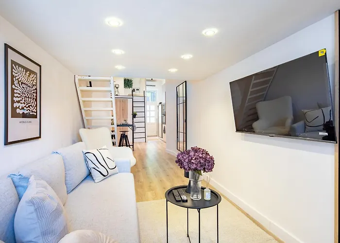 - Modern - Superb Style