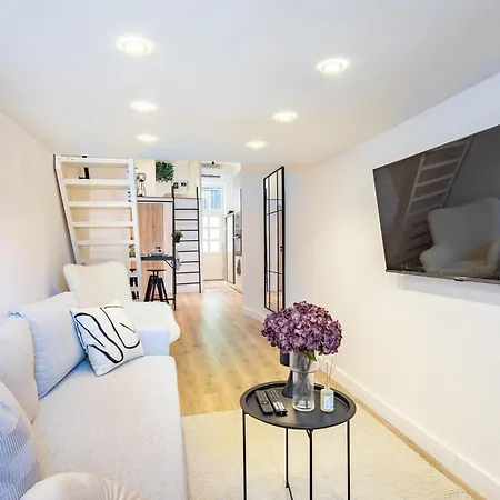 - Modern - Superb Style