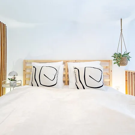 - Modern - Superb Style *